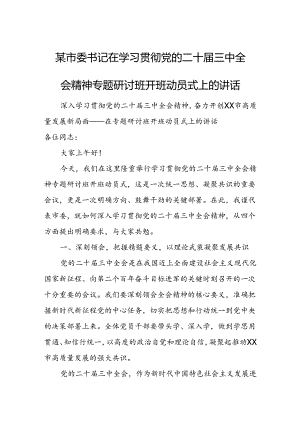 某市委书记在学习贯彻党的二十届三中全会精神专题研讨班开班动员式上的讲话1.docx