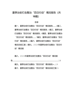 （10篇）夏季治安打击整治“百日行动”情况报告.docx