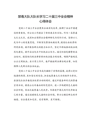 禁毒大队大队长学习二十届三中全会精神心得体会.docx