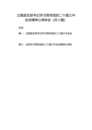 立案庭支部书记学习贯彻党的二十届三中全会精神心得体会12篇（精选）.docx