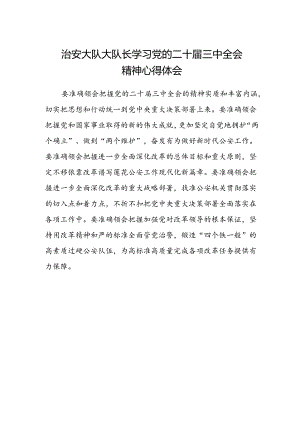 治安大队大队长学习党的二十届三中全会精神心得体会.docx