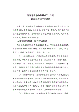 某某市金融办2024年上半年抓基层党建工作总结.docx