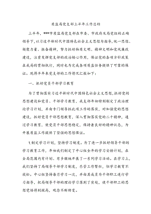 质监局党支部上半年工作总结.docx
