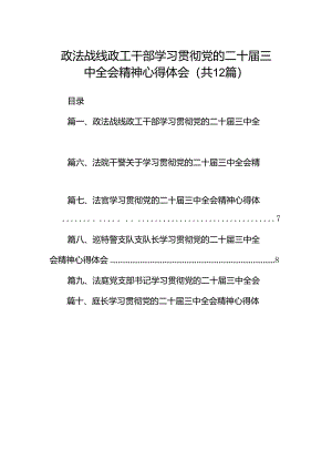 政法战线政工干部学习贯彻党的二十届三中全会精神心得体会12篇（最新版）.docx