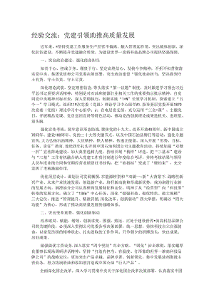 经验交流：党建引领助推高质量发展.docx