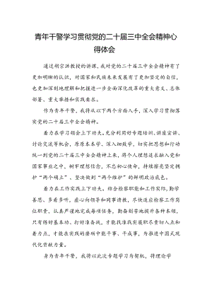 青年干警学习贯彻党的二十届三中全会精神心得体会.docx