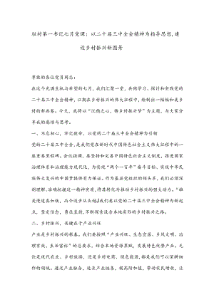 驻村第一书记七月党课：以二十届三中全会精神为指导思想建设乡村振兴新图景.docx