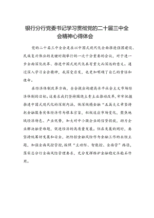 银行分行党委书记学习贯彻党的二十届三中全会精神心得体会范本.docx