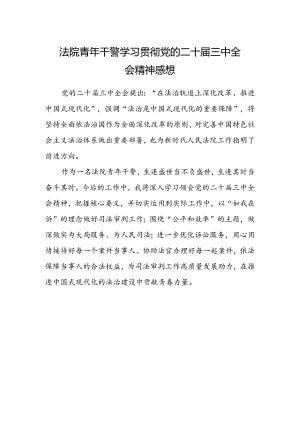 法院青年干警学习贯彻党的二十届三中全会精神感想.docx