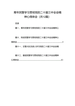 青年民警学习贯彻党的二十届三中全会精神心得体会【12篇精选】供参考.docx