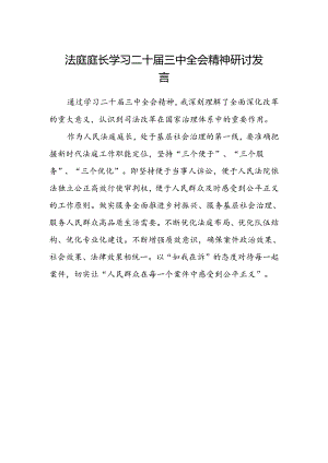 法庭庭长学习二十届三中全会精神研讨发言.docx