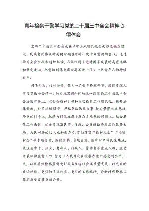 青年检察干警学习党的二十届三中全会精神心得体会.docx