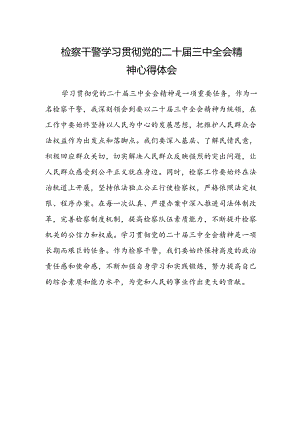 检察干警学习贯彻党的二十届三中全会精神心得体会(5).docx