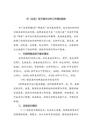 村(社区)班子届中分析工作情况报告范文11篇（详细版）.docx