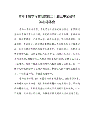 青年干警学习贯彻党的二十届三中全会精神心得体会 .docx