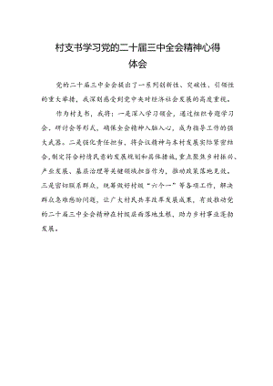 村支书学习党的二十届三中全会精神心得体会.docx