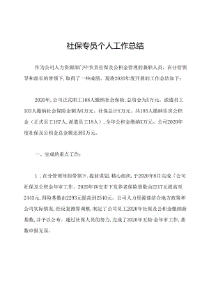 社保专员个人工作总结.docx