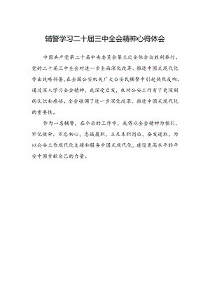 辅警学习二十届三中全会精神心得体会.docx