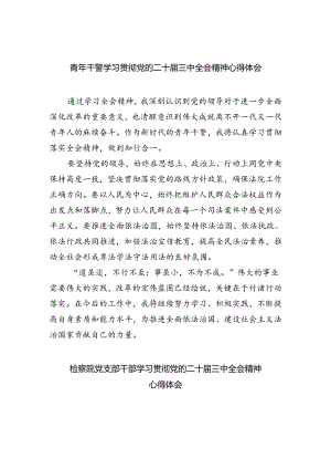 青年干警学习贯彻党的二十届三中全会精神心得体会（共五篇）.docx