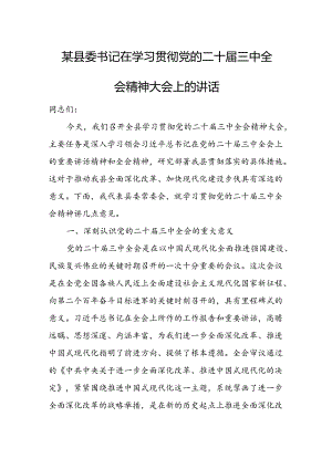 某县委书记在学习贯彻党的二十届三中全会精神大会上的讲话 .docx