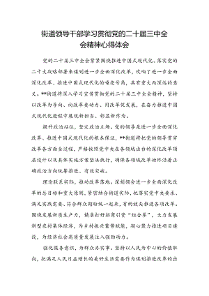 街道领导干部学习贯彻党的二十届三中全会精神心得体会.docx