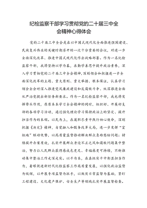纪检监察干部学习贯彻党的二十届三中全会精神心得体会(7).docx