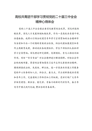 高校共青团干部学习贯彻党的二十届三中全会精神心得体会.docx