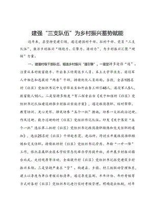 经验做法：建强“三支队伍” 为乡村振兴蓄势赋能.docx
