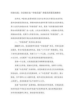 经验交流：全层级打造“价值党建”探索高质量发展路径.docx