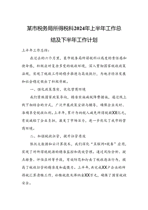 某市税务局所得税科2024年上半年工作总结及下半年工作计划.docx