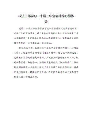 政法干部学习二十届三中全会精神心得体会.docx