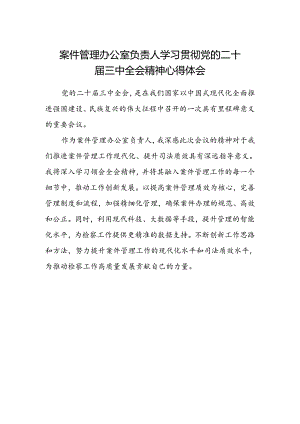 案件管理办公室负责人学习贯彻党的二十届三中全会精神心得体会.docx