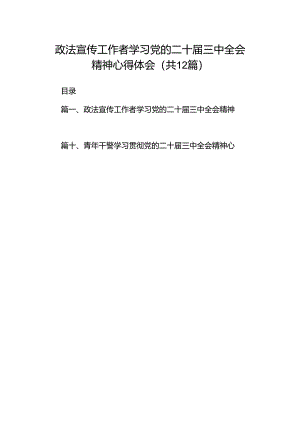 政法宣传工作者学习党的二十届三中全会精神心得体会(12篇集合).docx