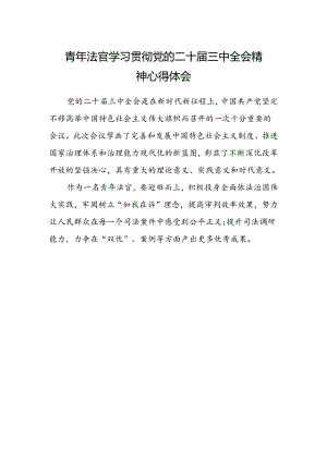 青年法官学习贯彻党的二十届三中全会精神心得体会.docx