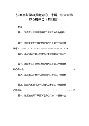 法庭庭长学习贯彻党的二十届三中全会精神心得体会12篇（详细版）.docx