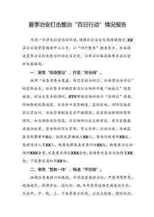 派出所2024年夏季治安打击整治行动总结报告6篇.docx
