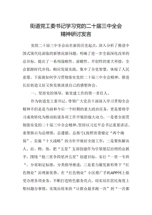 街道党工委书记学习党的二十届三中全会精神研讨发言.docx