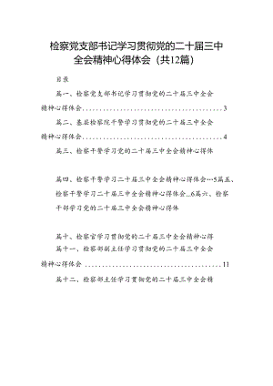 检察党支部书记学习贯彻党的二十届三中全会精神心得体会12篇（详细版）.docx