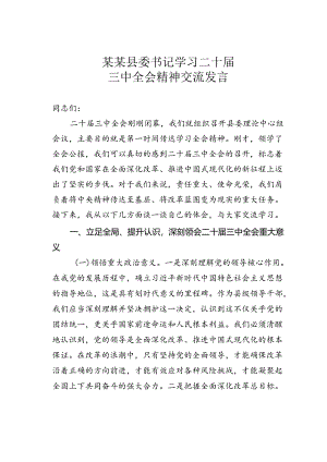 某某县委书记学习二十届三中全会精神交流发言.docx