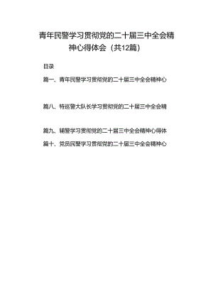 青年民警学习贯彻党的二十届三中全会精神心得体会（合计12份）.docx