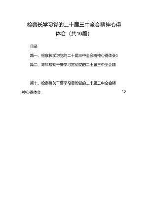 检察长学习党的二十届三中全会精神心得体会十篇（精选）.docx