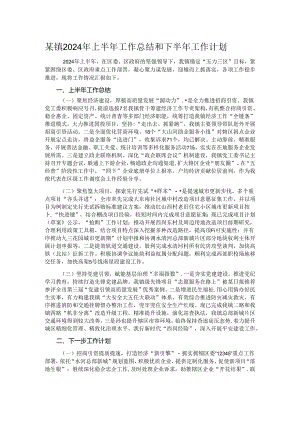 某镇2024年上半年工作总结和下半年工作计划.docx