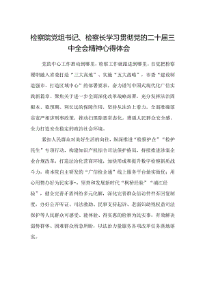检察院党组书记、检察长学习贯彻党的二十届三中全会精神心得体会.docx