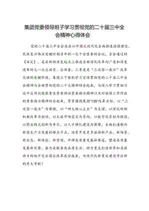 集团党委领导班子学习贯彻党的二十届三中全会精神心得体会.docx
