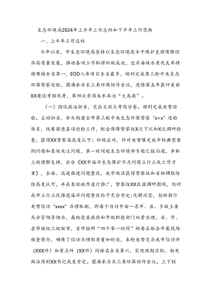 生态环境局2024年上半年工作总结和下半年工作思路.docx