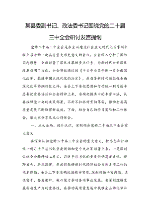 某县委副书记、政法委书记围绕党的二十届三中全会研讨发言提纲.docx