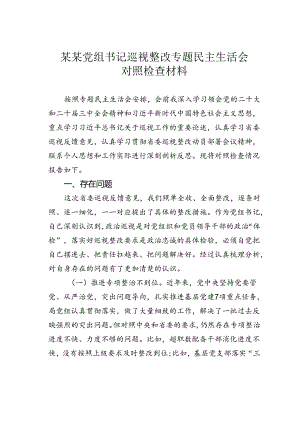 某某党组书记巡视整改专题民主生活会对照检查材料.docx