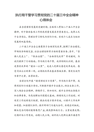 执行局干警学习贯彻党的二十届三中全会精神心得体会.docx