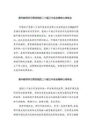 青年教师学习贯彻党的二十届三中全会精神心得体会（共五篇）.docx