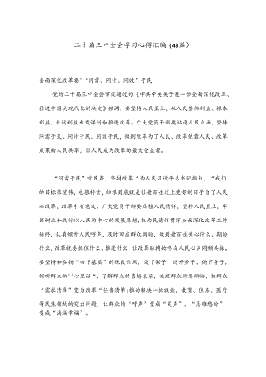 （43篇）二十届三中全会学习心得汇编.docx